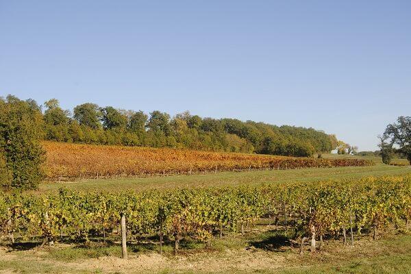 Domaine de Gayssou