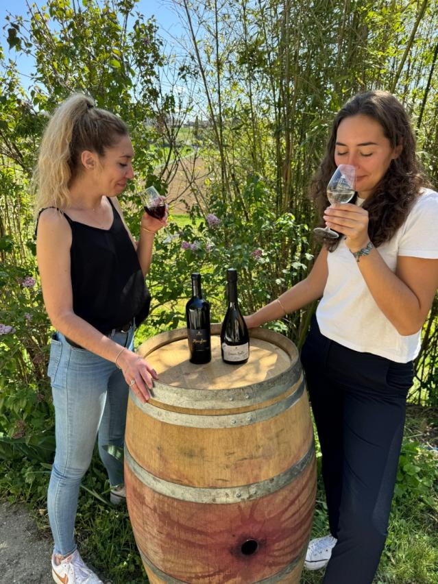 dégustation vin