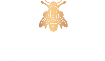 Logo Du Domaine Gayssou près de Gaillac